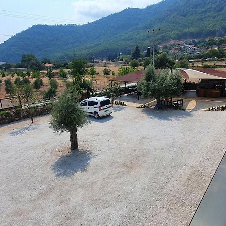 Olive Tree Apart Hotel Μούγκλα Εξωτερικό φωτογραφία
