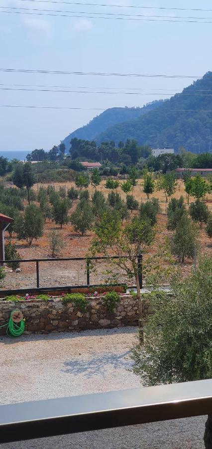 Olive Tree Apart Hotel Μούγκλα Εξωτερικό φωτογραφία